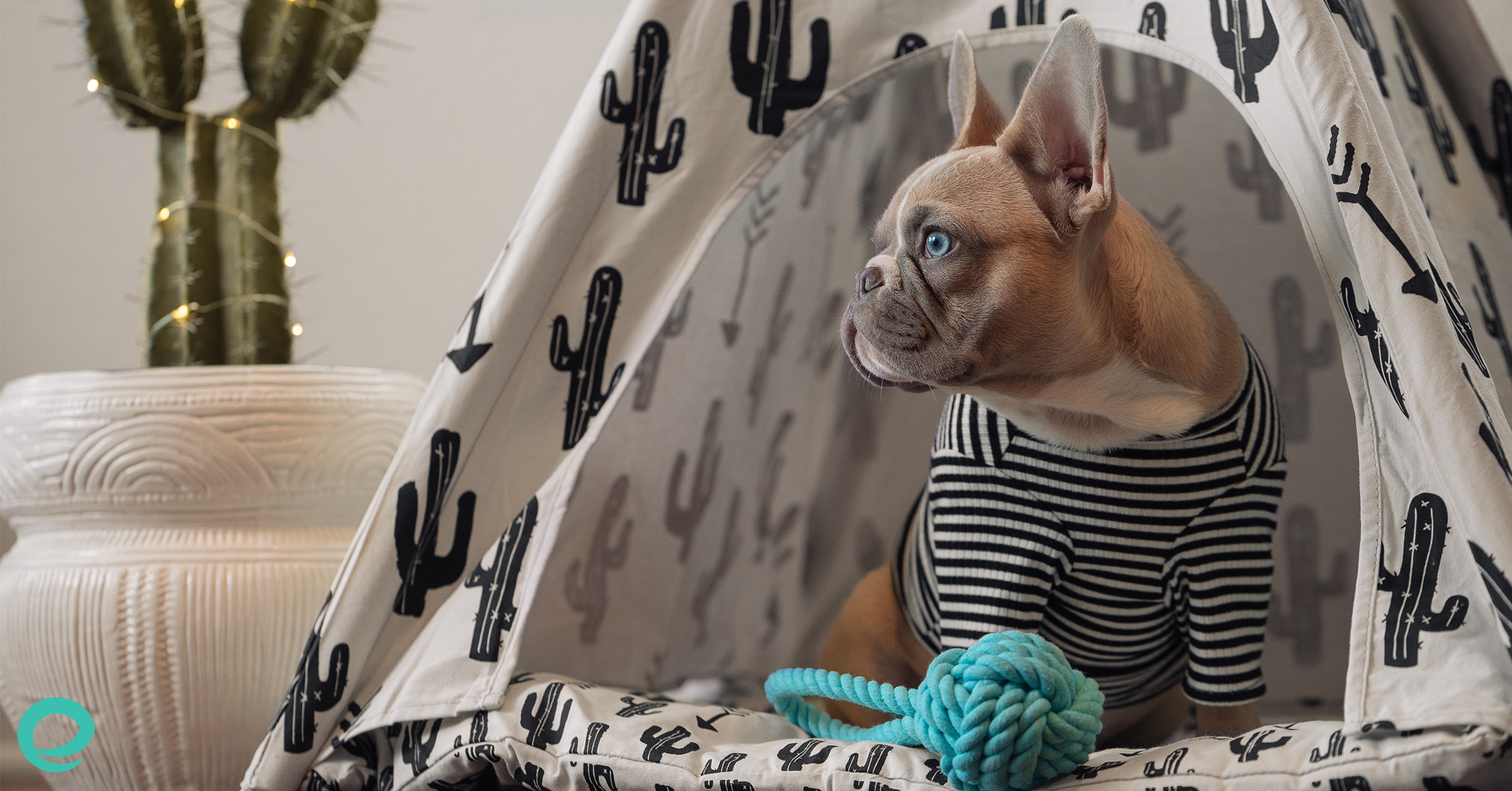 Home Fire Safety Tips For Pet Owners
