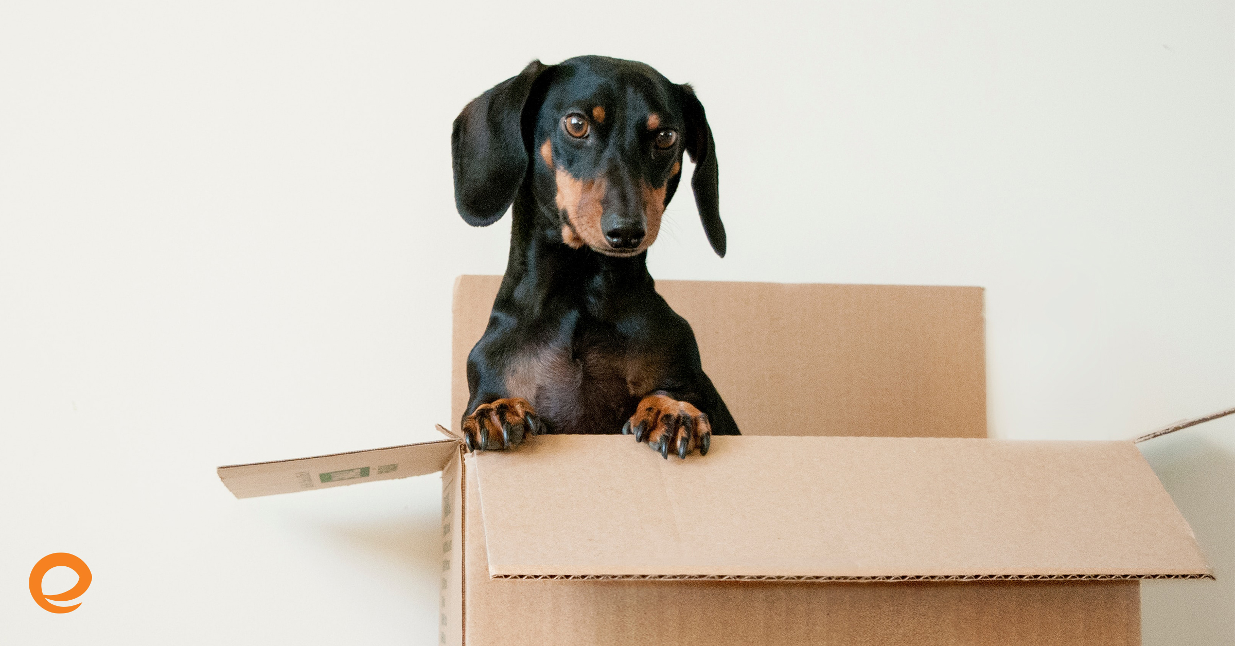 4 Steps That Can Help You Go from Renting to Owning a Home