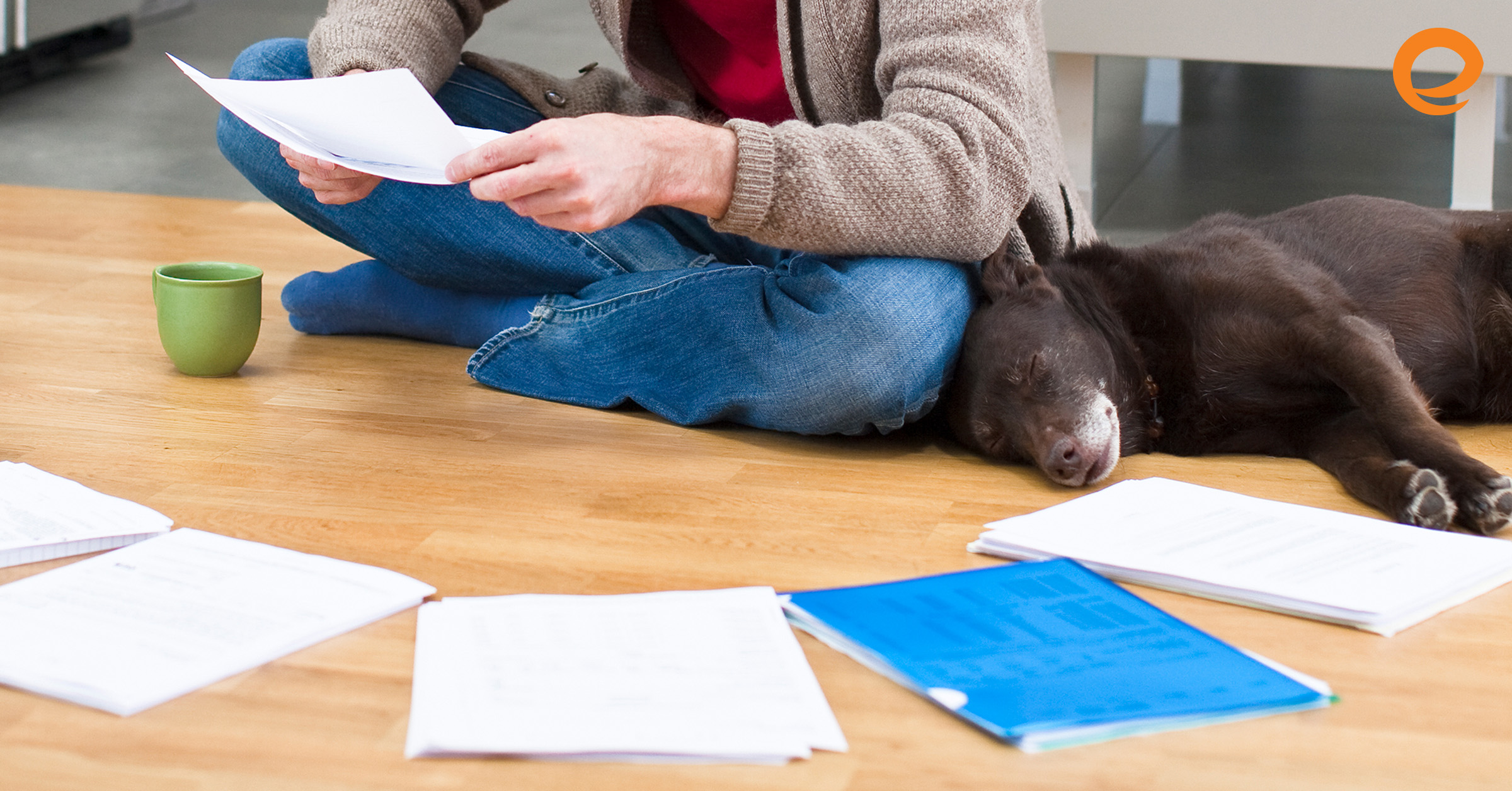Everything You Should Know About Property Taxes