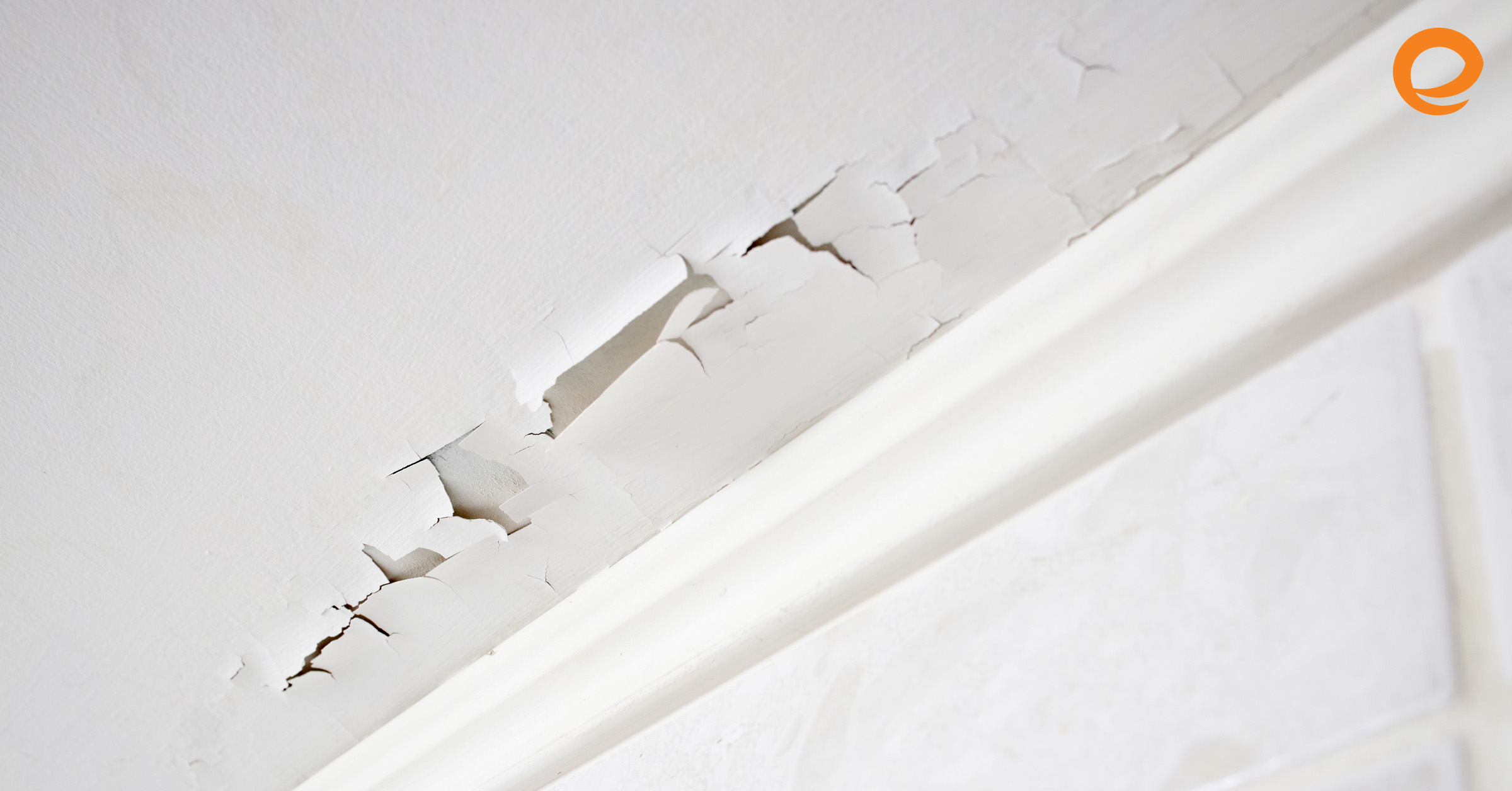 4 Signs There’s Mold in Your House
