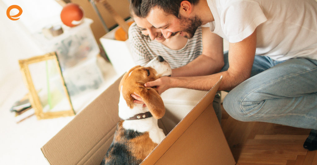 Tips for Moving with Pets