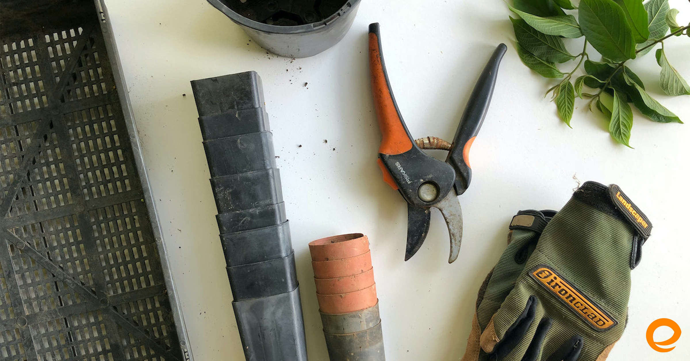 Tips For New Gardeners
