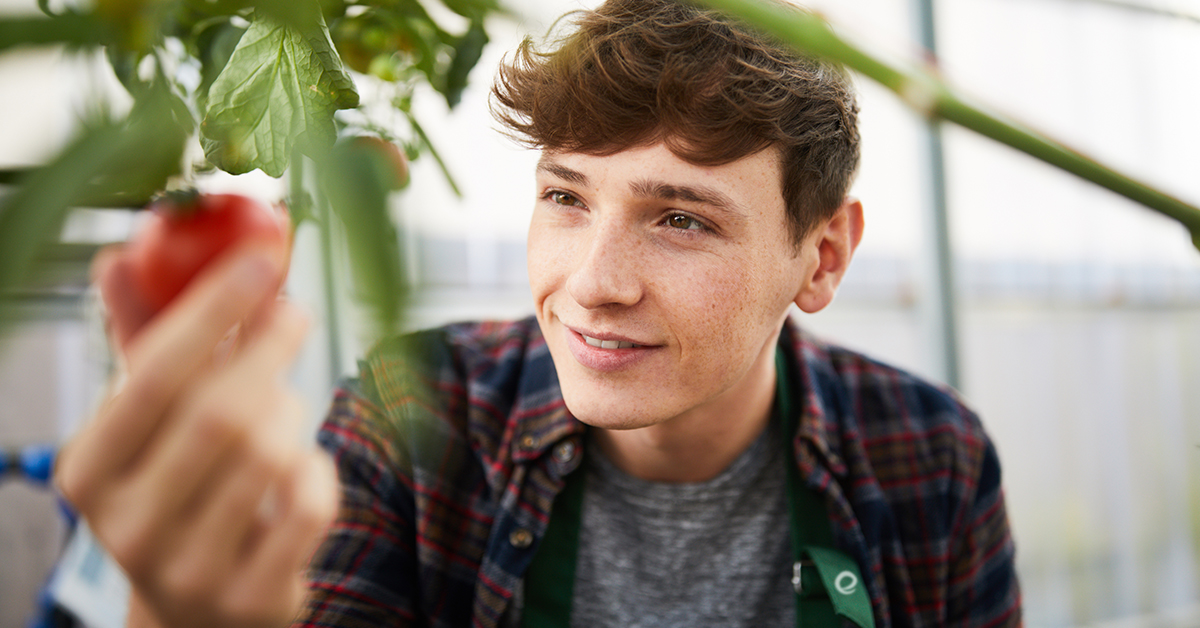 Hydrophonic Gardening: How to Get Started