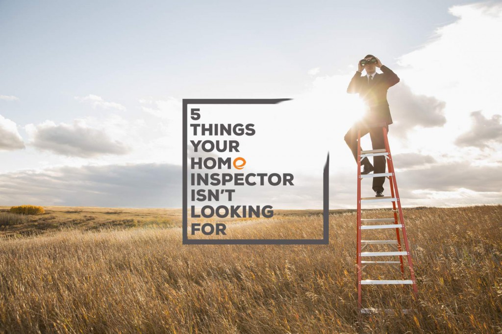 InspecetorIsntLookingFor Man in a field on a ladder with binoculars
